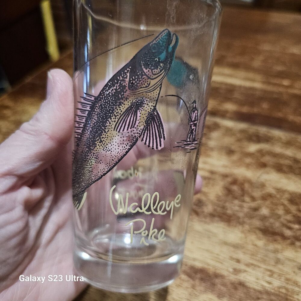 Vtg Barware Rainbow Trout WALLEYE Pike Highball Glass  Sportsman Series Man Cave